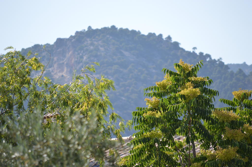 Penzion Complejo Rural Ibipozo Pozo Alcón Exteriér fotografie